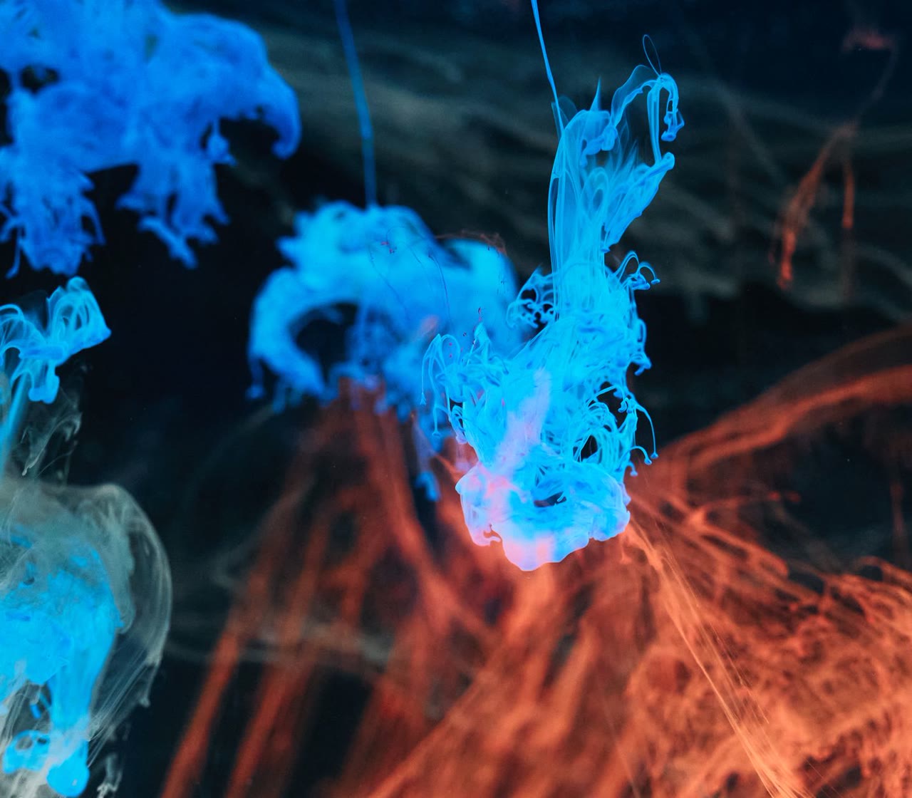 Blue and orange ink swirling in water